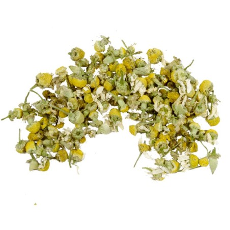 Camomilla fiore essiccato